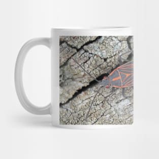 Western boxelder bug Mug